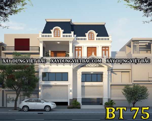 mau biet thu tan co dien 2 tang 10x18m