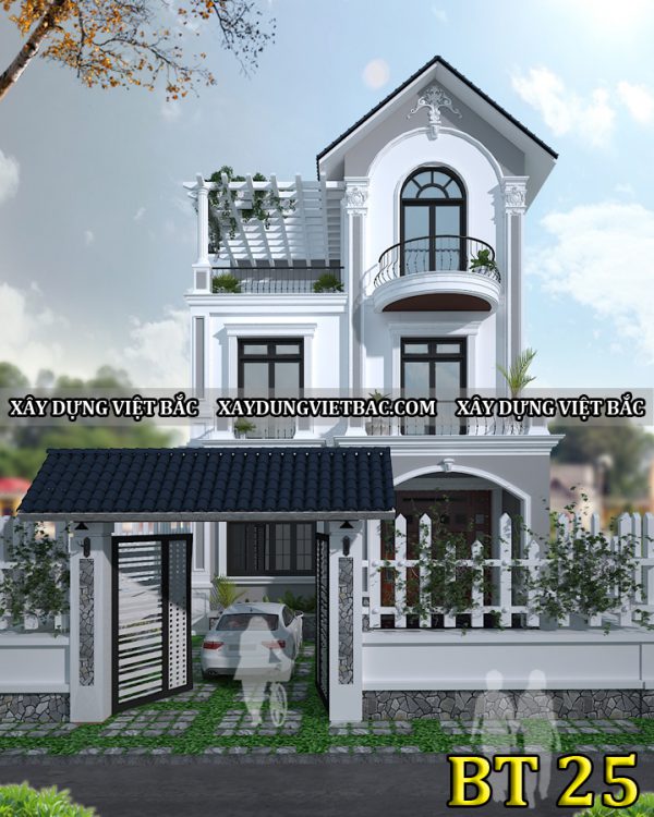 mau biet thu tan co dien 3 tang 8x14m