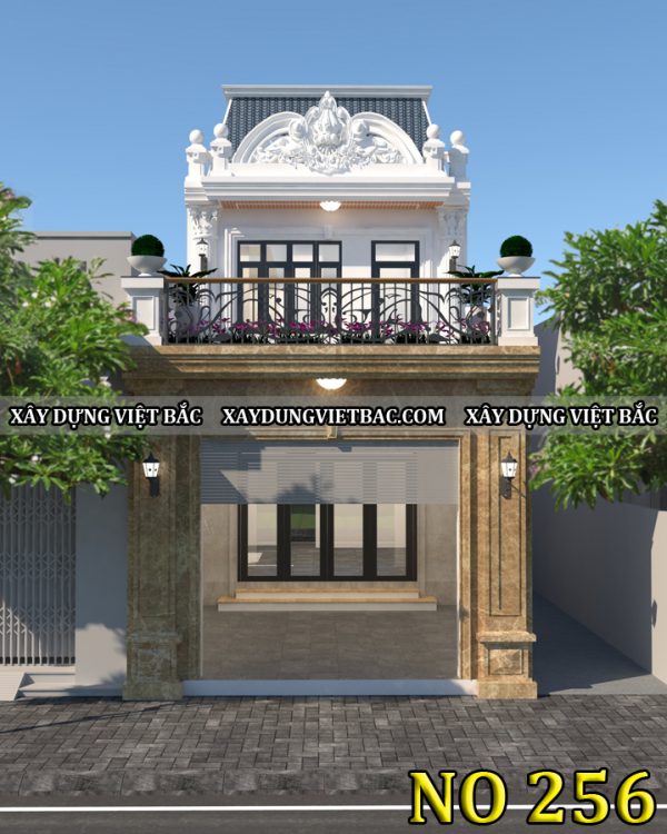 mau thiet ke nha ong tan co dien 2 tang 5.4x24m